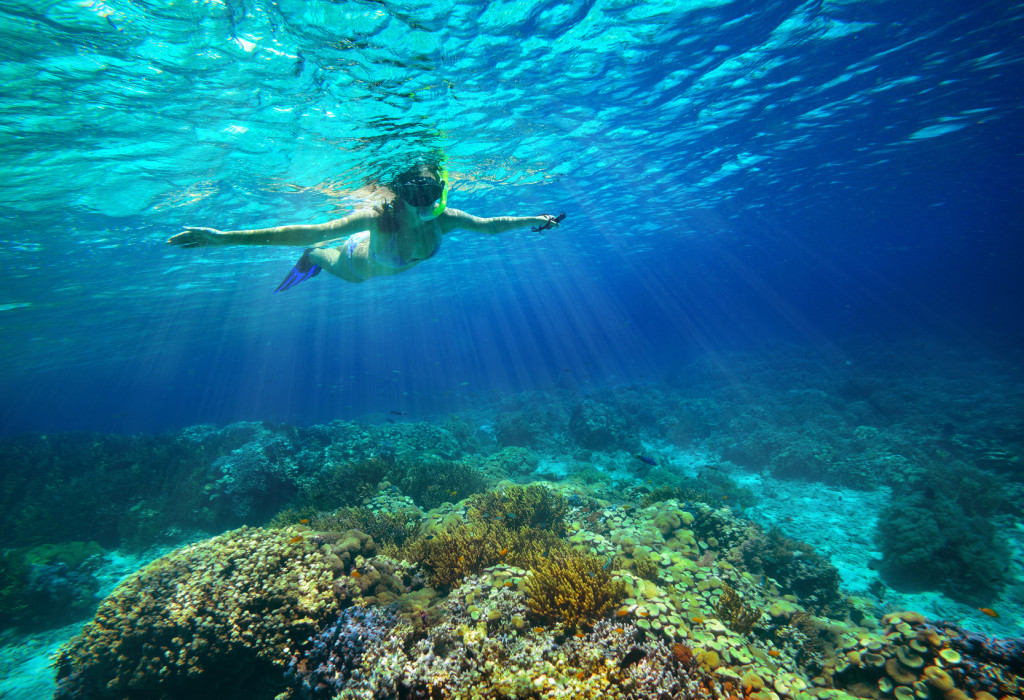Snorkeling - Sardegna