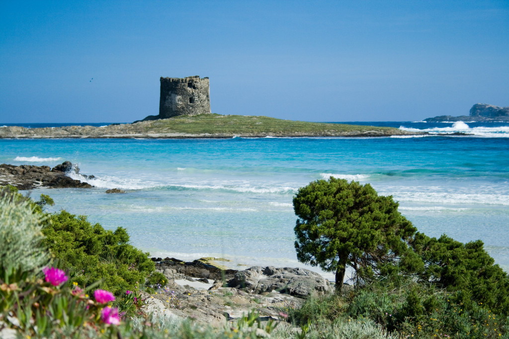 asinara, stintino, sardegna - wonderfulsardinia.com